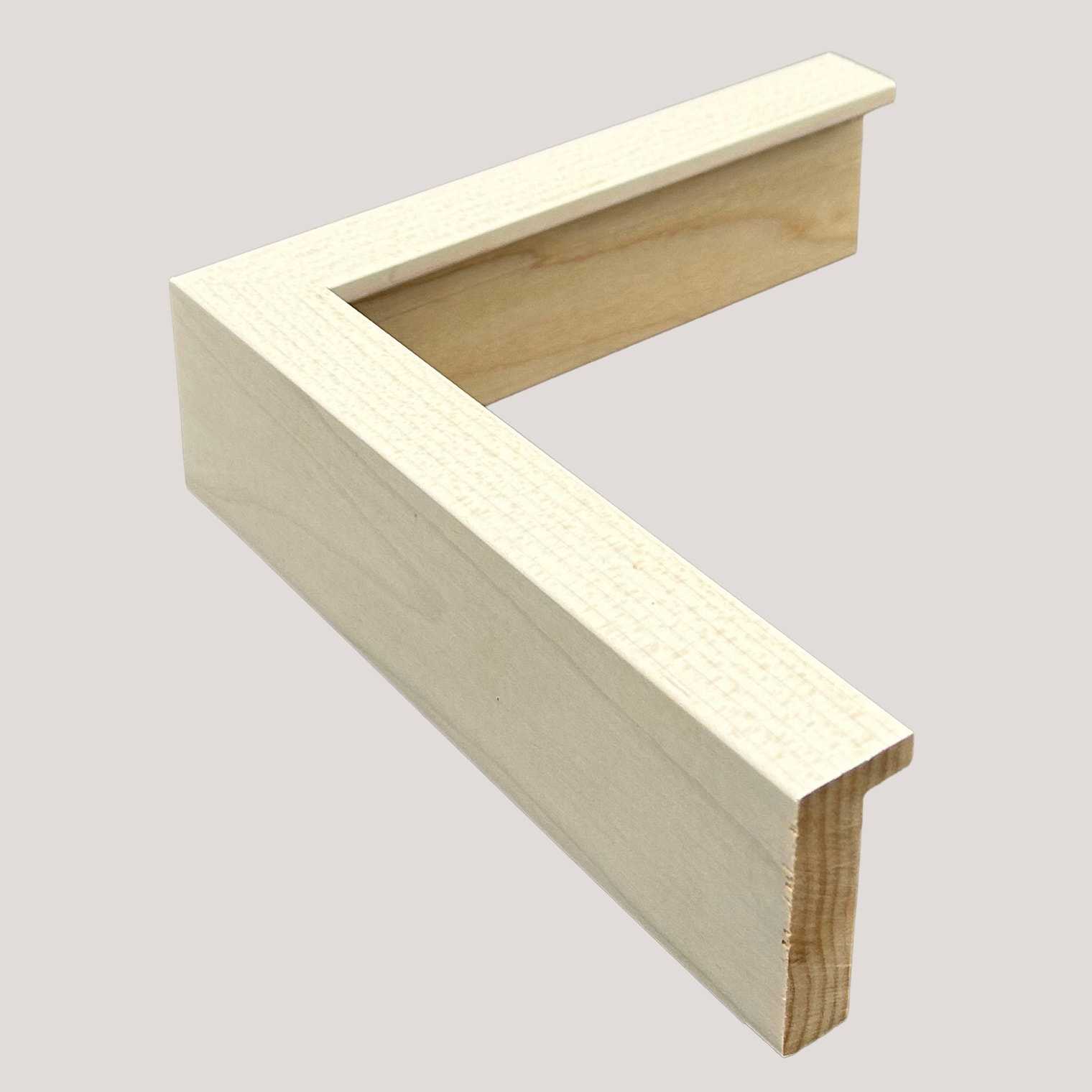 Hammond White Maple Stem