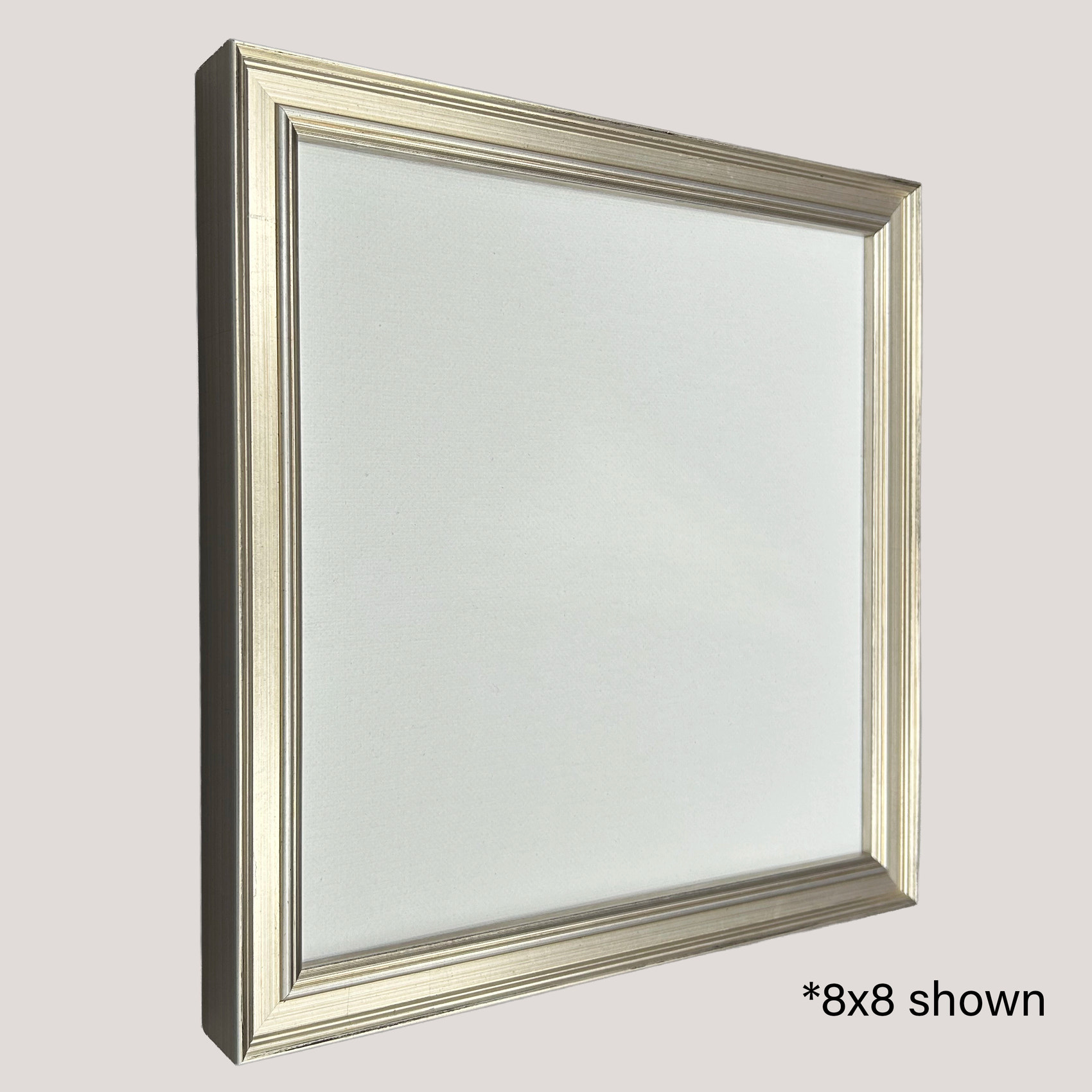 Moultrie Silver Cassetta Frame