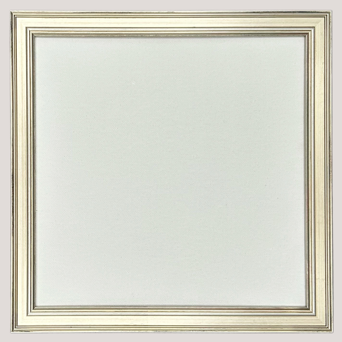 Moultrie Silver Cassetta Frame
