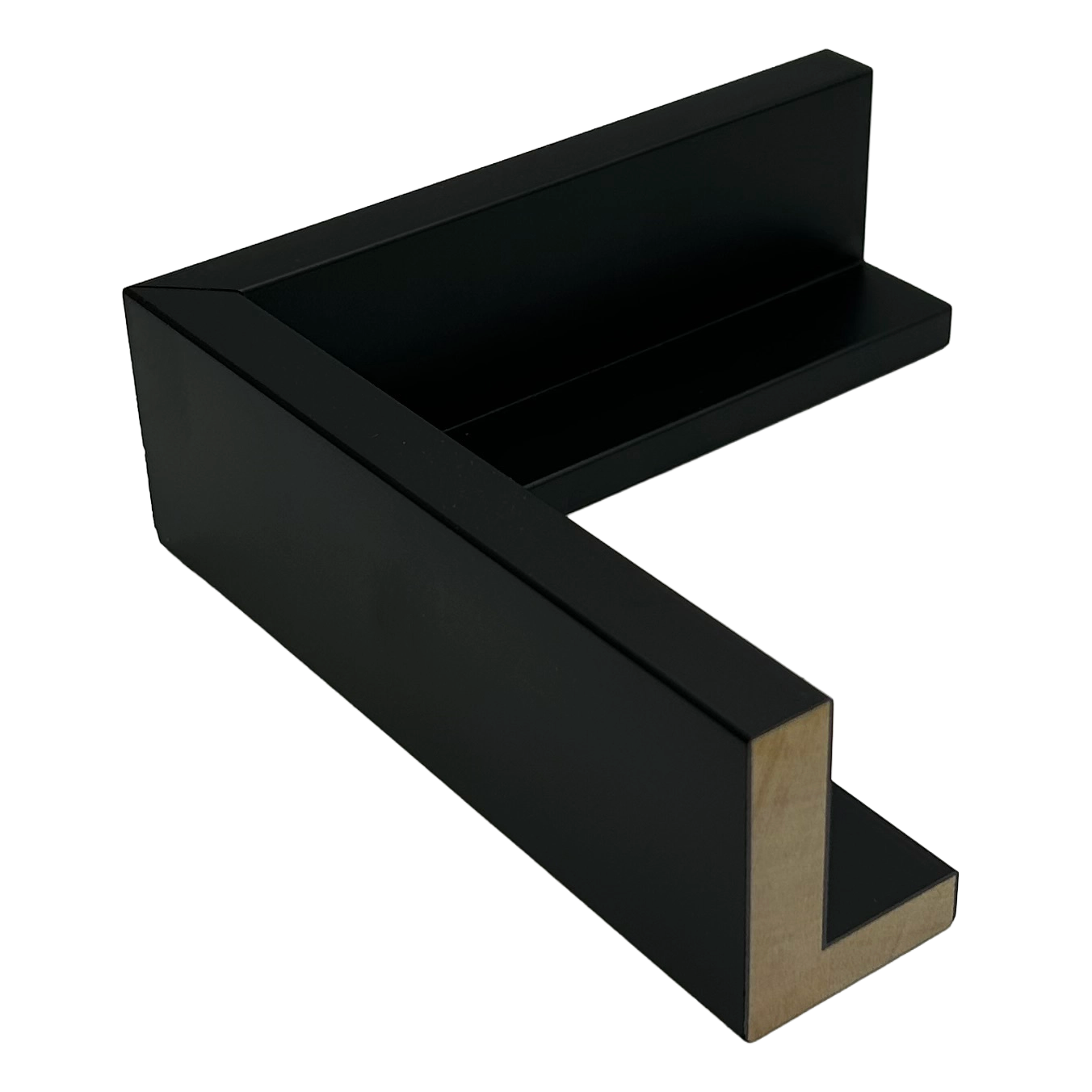 Pinckney - Black Gallery Floater Frame