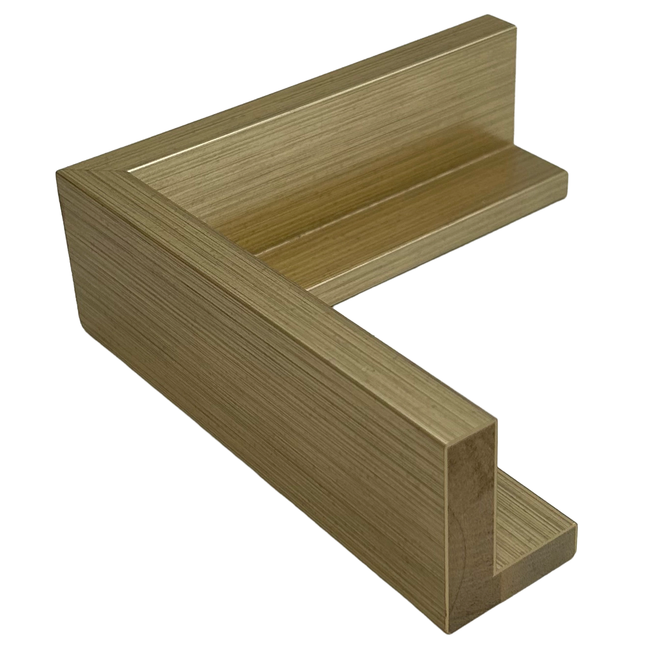 Pinckney - Champagne Gallery Floater Frame