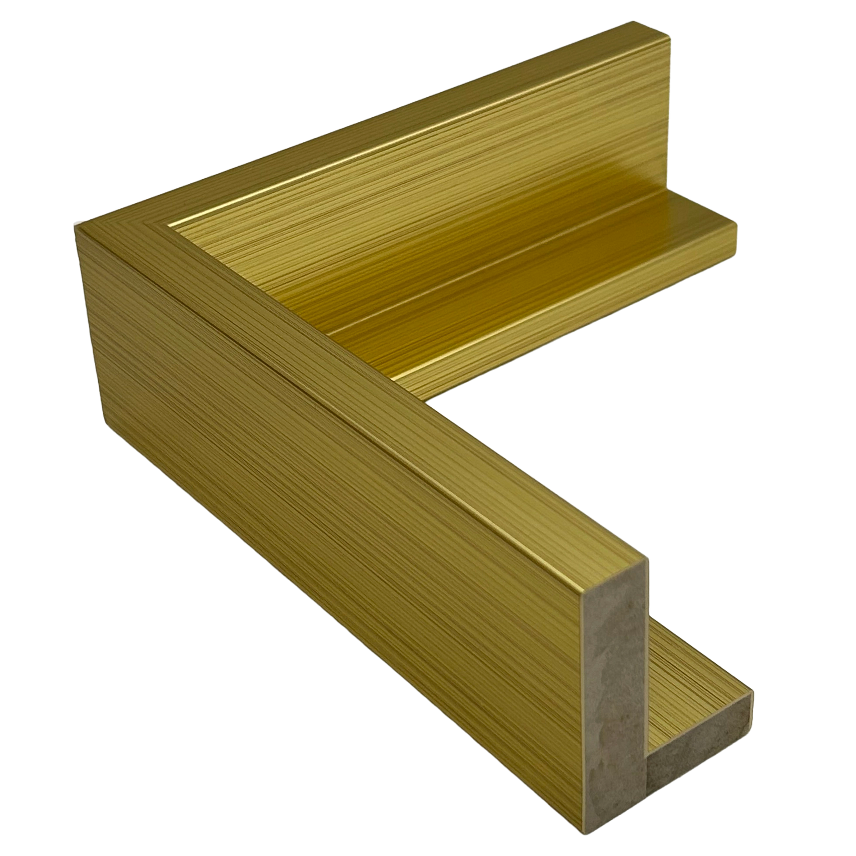 Pinckney - Gold Gallery Floater Frame