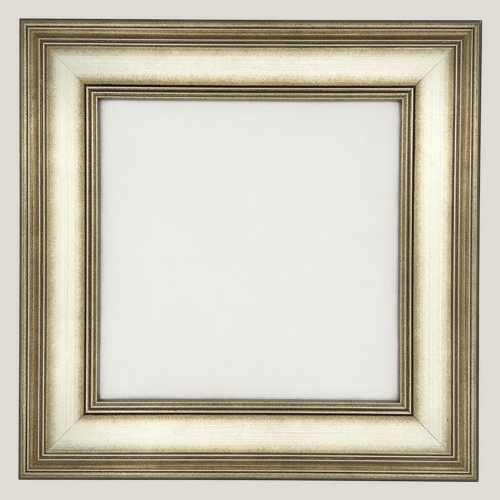 Ravenel - Antique Silver Plein Air Frame
