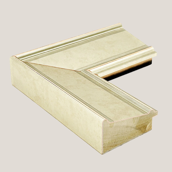 Abbott - Champagne Plein Air FramePicture Frame