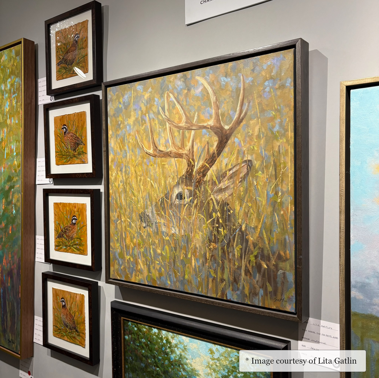 Bennett - Gray Wood Floater Frame Contemporary painting of Wildlife by Lita Gatlin