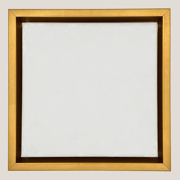 Cooper - Artist Gold Floater FramePicture Frame