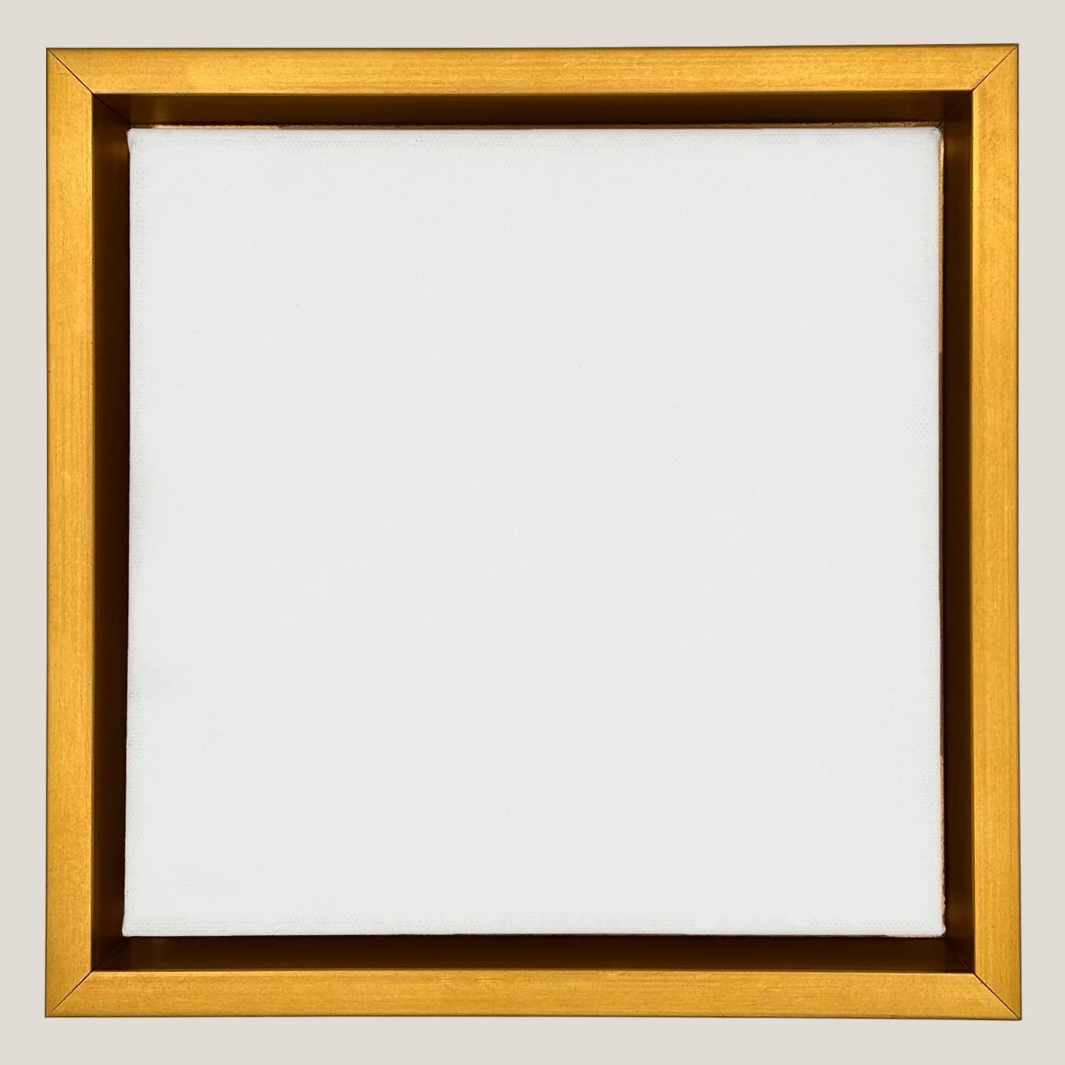 Cooper - Artist Gold Floater FramePicture Frame