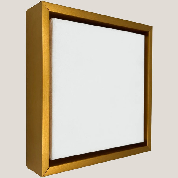 Cooper - Artist Gold Floater FramePicture Frame