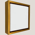 Cooper - Artist Gold Floater FramePicture Frame