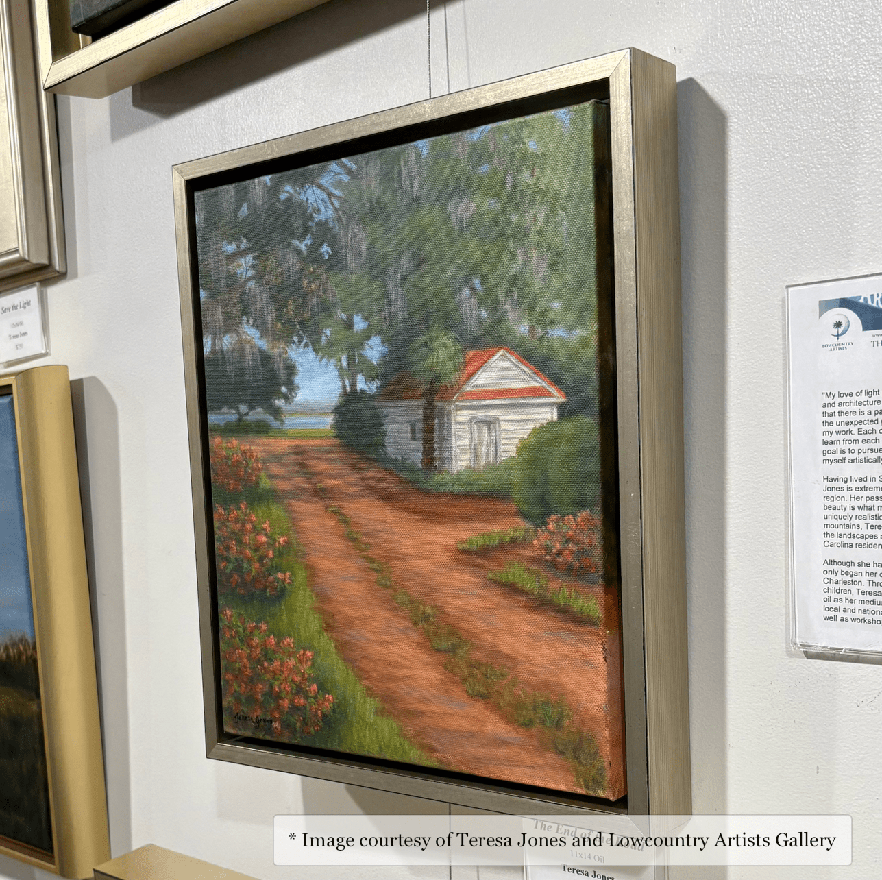 Cooper - Silver Leaf Floater FramePicture Frame