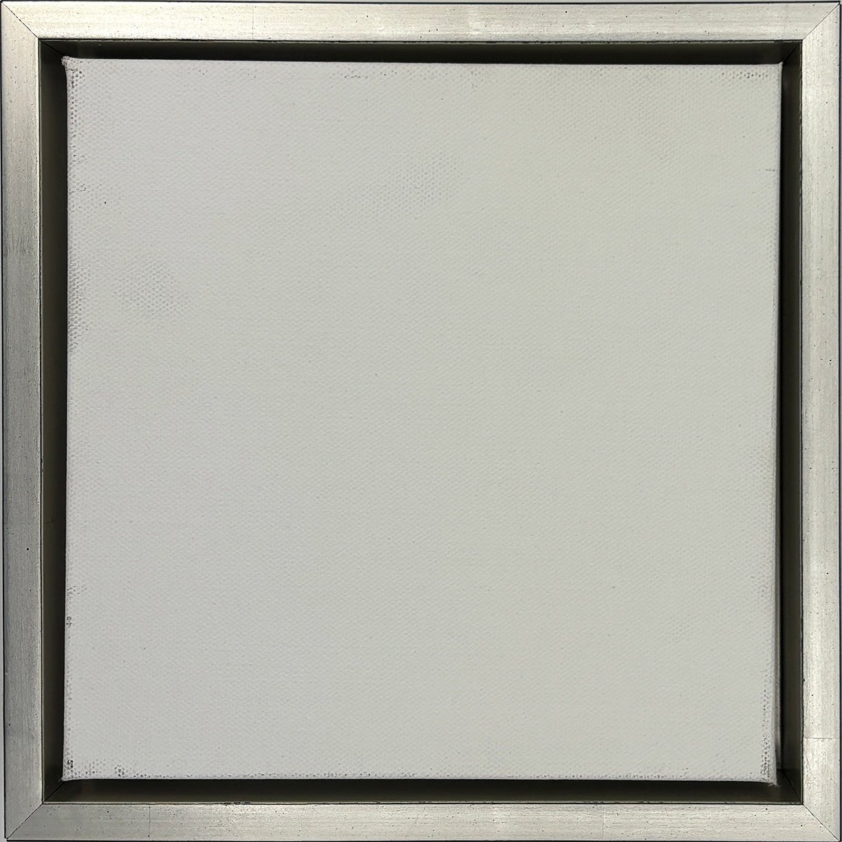 Silver Leaf Floater Frame - Articient