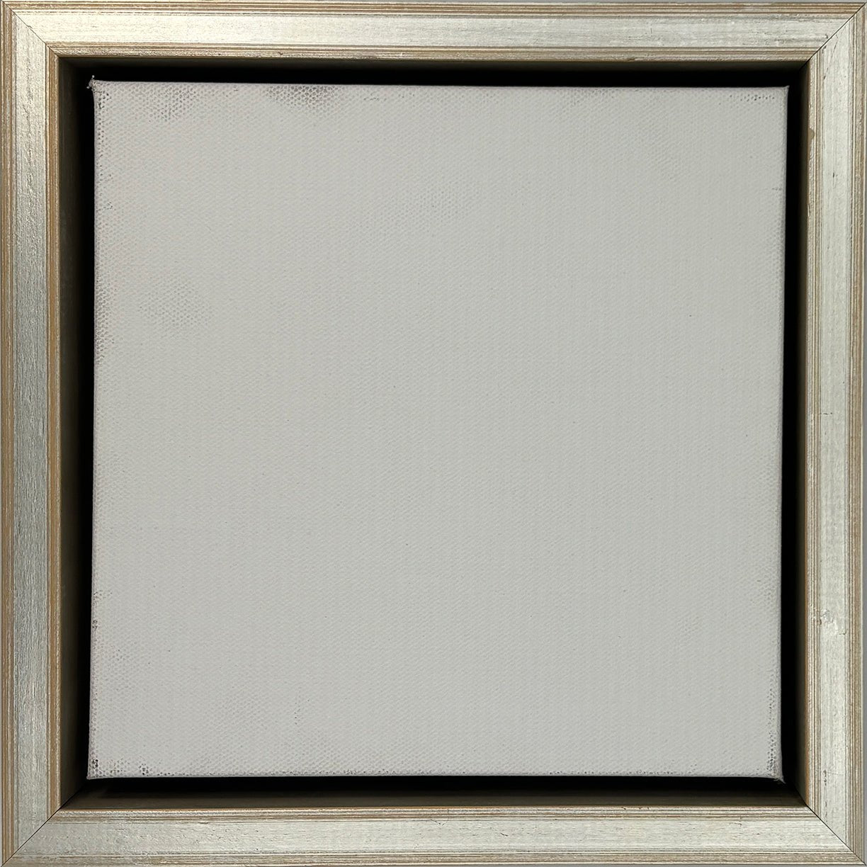 Fulton - Premier Silver Floater FramePicture Frame