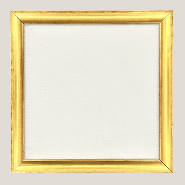 Gadsden - Thin Gold & White FramePicture Frame