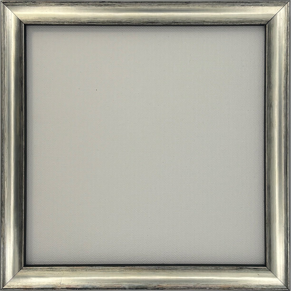 Gadsden - Thin Silver & Black FramePicture Frame