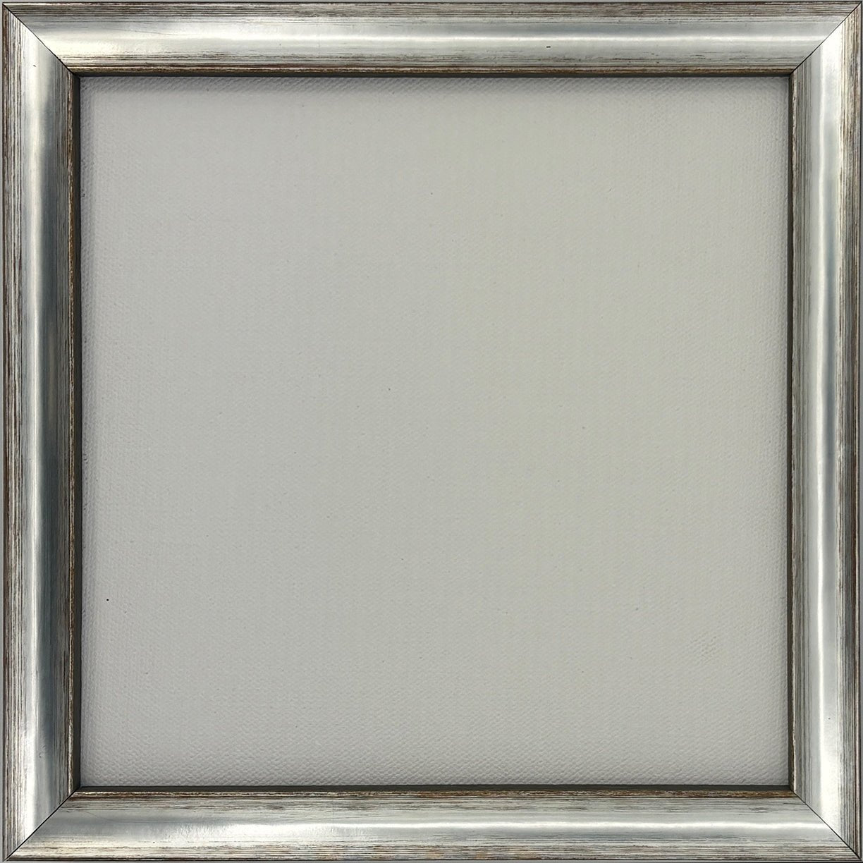 Gadsden - Thin Silver & Gray FramePicture Frame