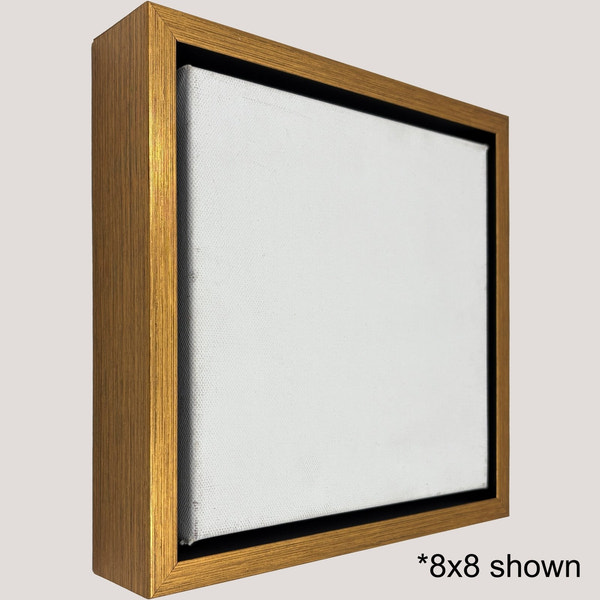 Hailey - Antique Gold Floater FramePicture Frame