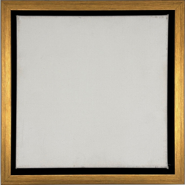 Hailey - Antique Gold Floater FramePicture Frame