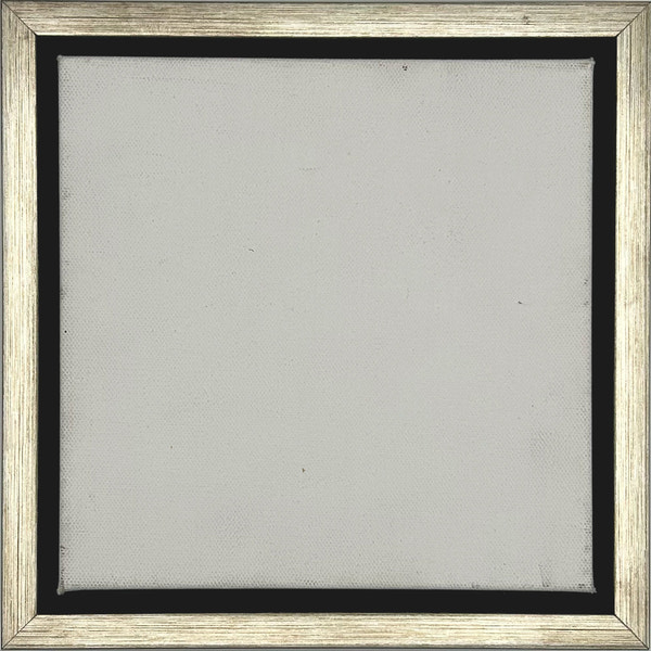 Hailey - Silver Black Floater FramePicture Frame