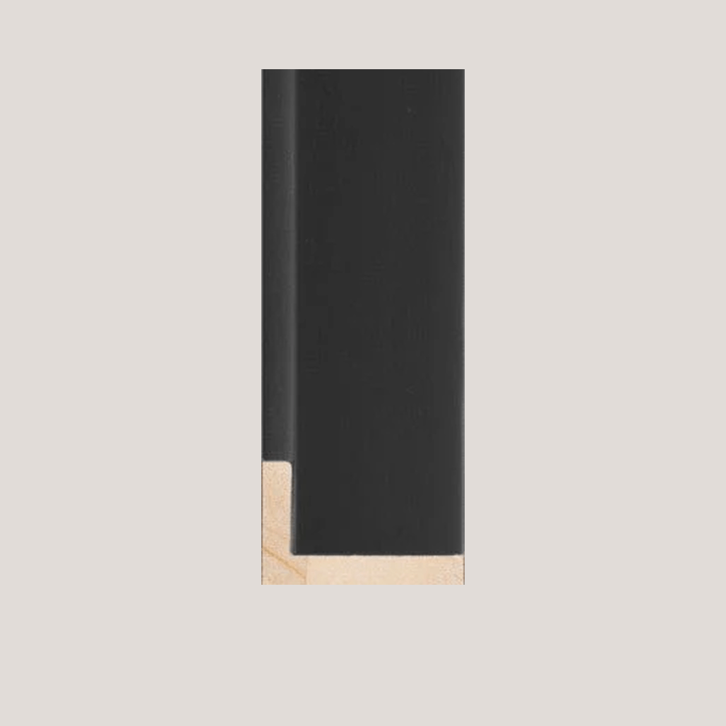 Hanover - Shallow Black Floater FramePicture Frame