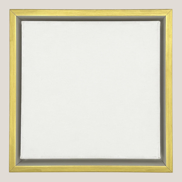 Marion - White & Gold Floater FramePicture Frame