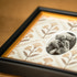 Moultrie Black & Gold Cassetta Frame