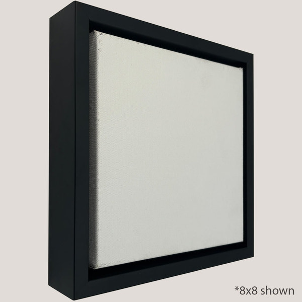 Pinckney - Black Gallery Floater Frame Profile