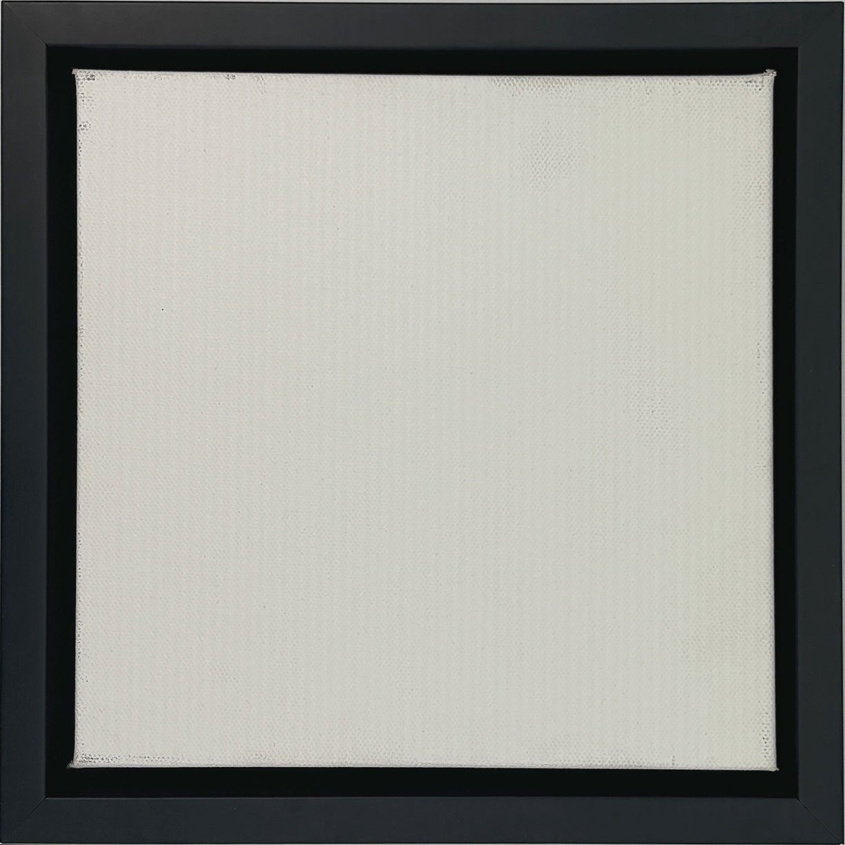 Pinckney - Black Gallery Floater FramePicture Frame