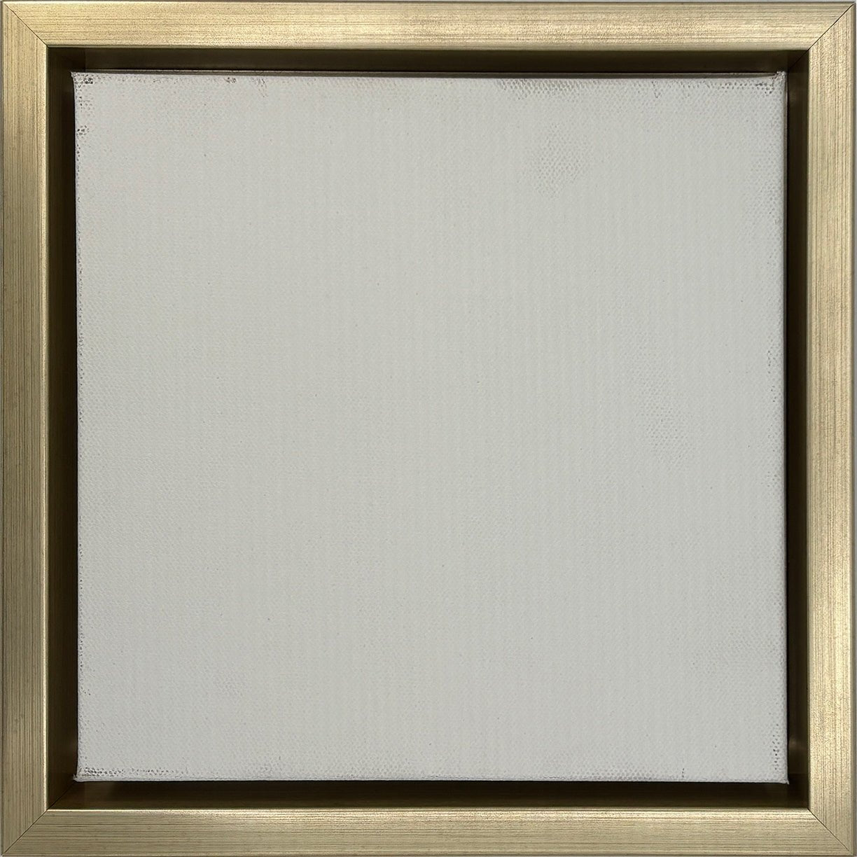 Pinckney - Champagne Gallery Floater FramePicture Frame