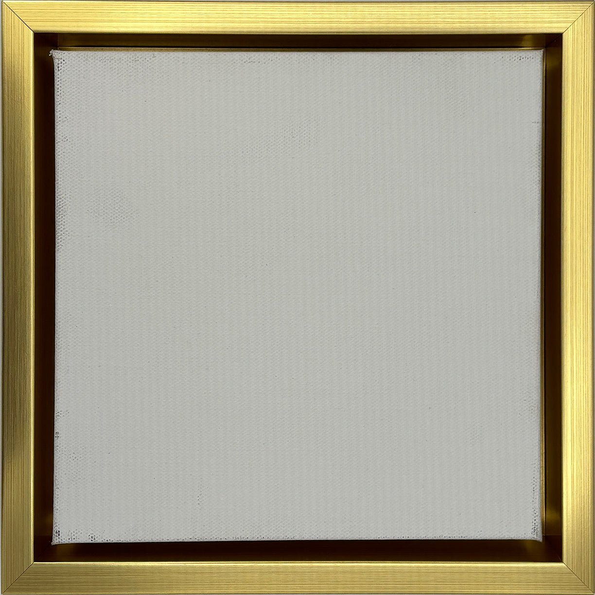 Pinckney - Gold Gallery Floater FramePicture Frame