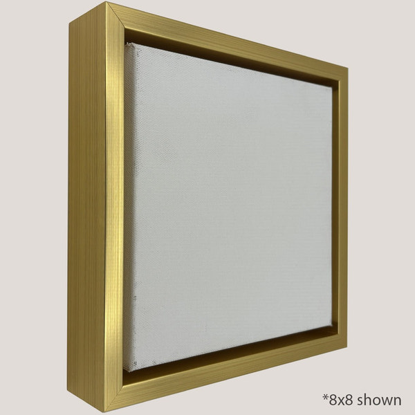 Pinckney - Gold Gallery Floater Frame Profile