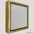 Pinckney - Gold Gallery Floater Frame Profile