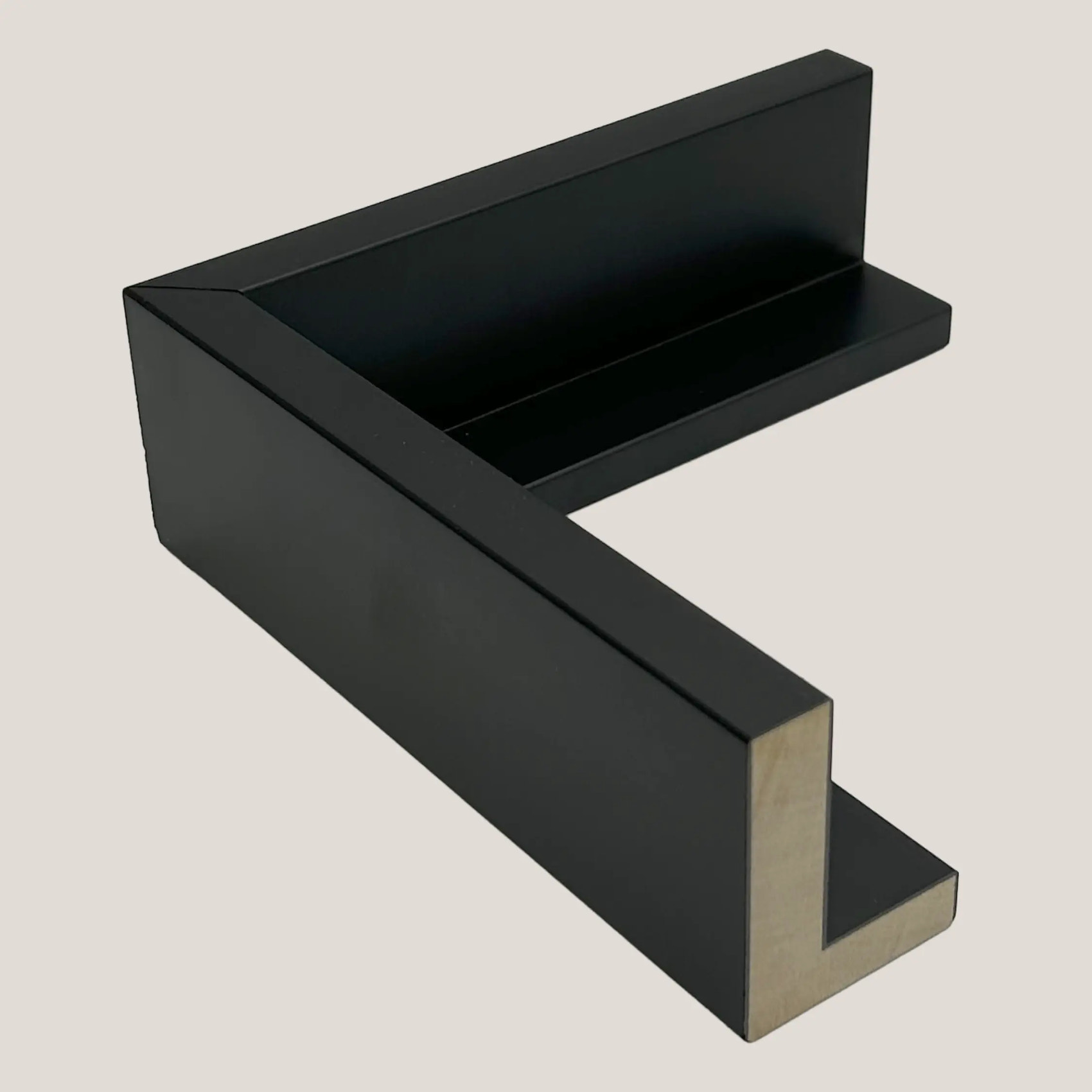 Pinckney - Black Gallery Floater Frame