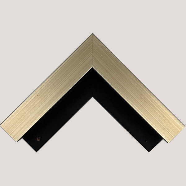 Pitt - Wide Champagne Floater Frame Picture Frame