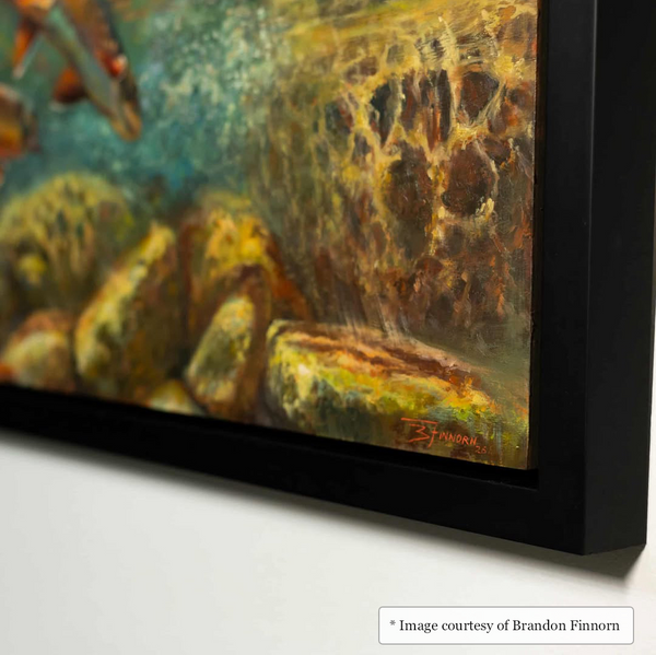 12x20 Pitt - Wide Black Floater Frame Realist painting of Marine life by Brandon Finnorn