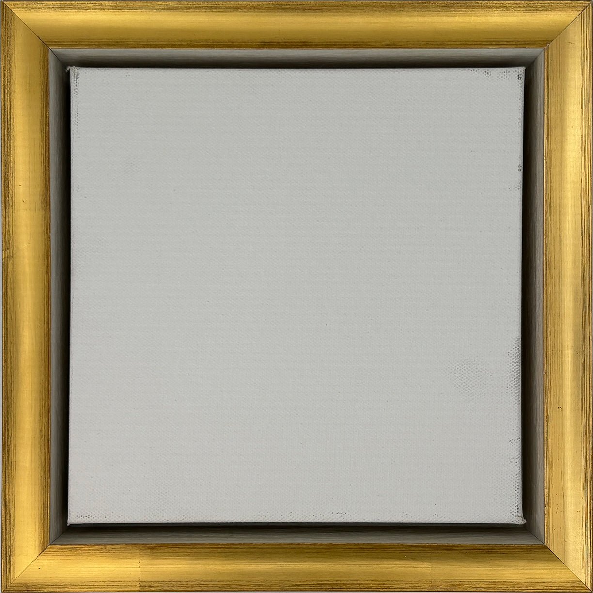 Reid - Gold & White Floater Frame