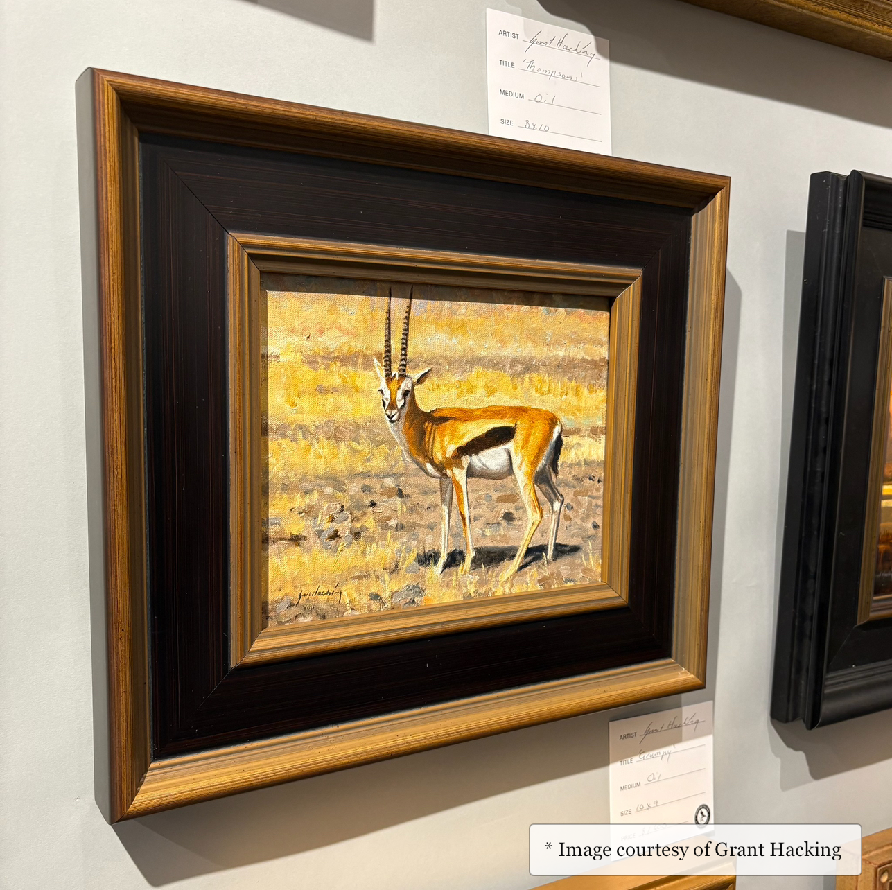 Vendue - Wide Black Gold Frame Realist painting of Wildlife by Grant Hacking