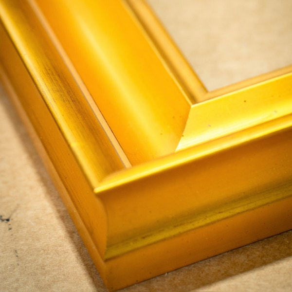 Warren - Traditional Classic Gold FramePicture Frame